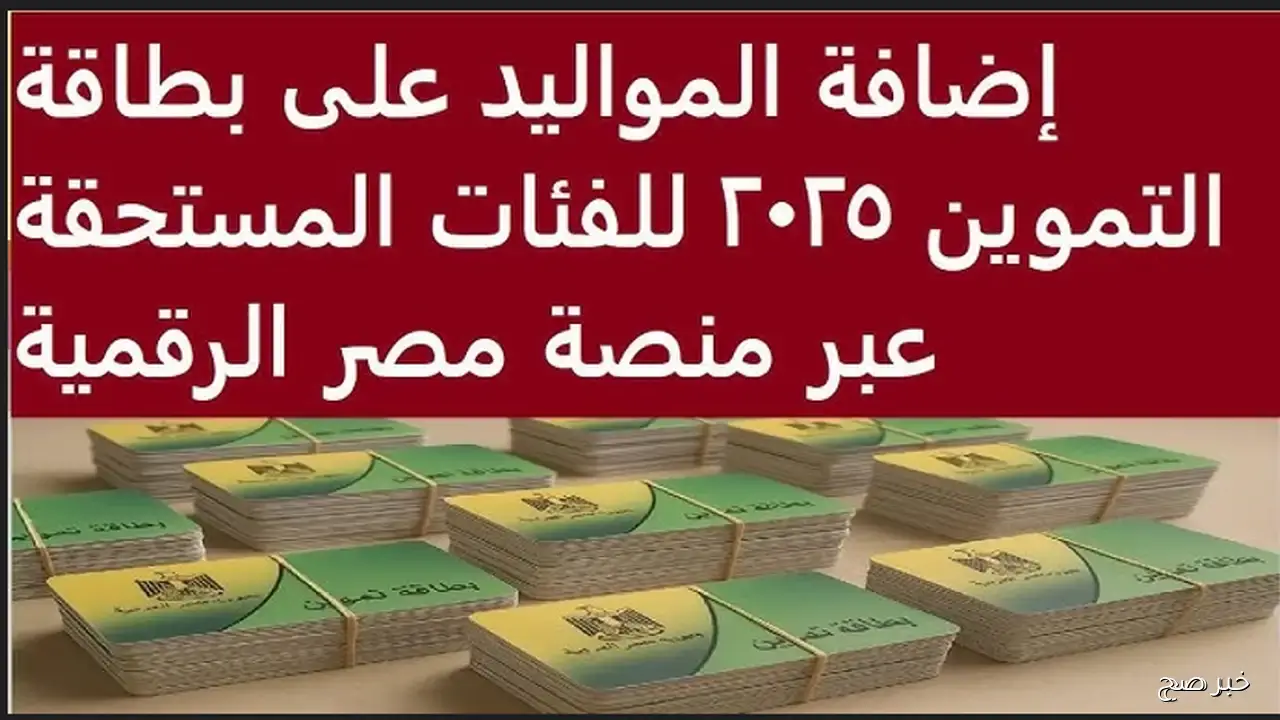 رابط إضافة أفراد في بطاقة التموين 2025.. كل ما تريد معرفته قبل تقديم الطلب