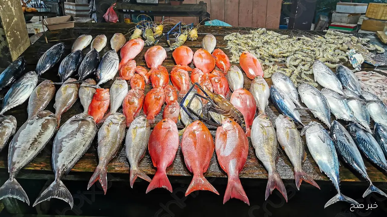 أسعار السمك اليوم الجمعة 7 نوفمبر 2025 في سوق العبور للجملة