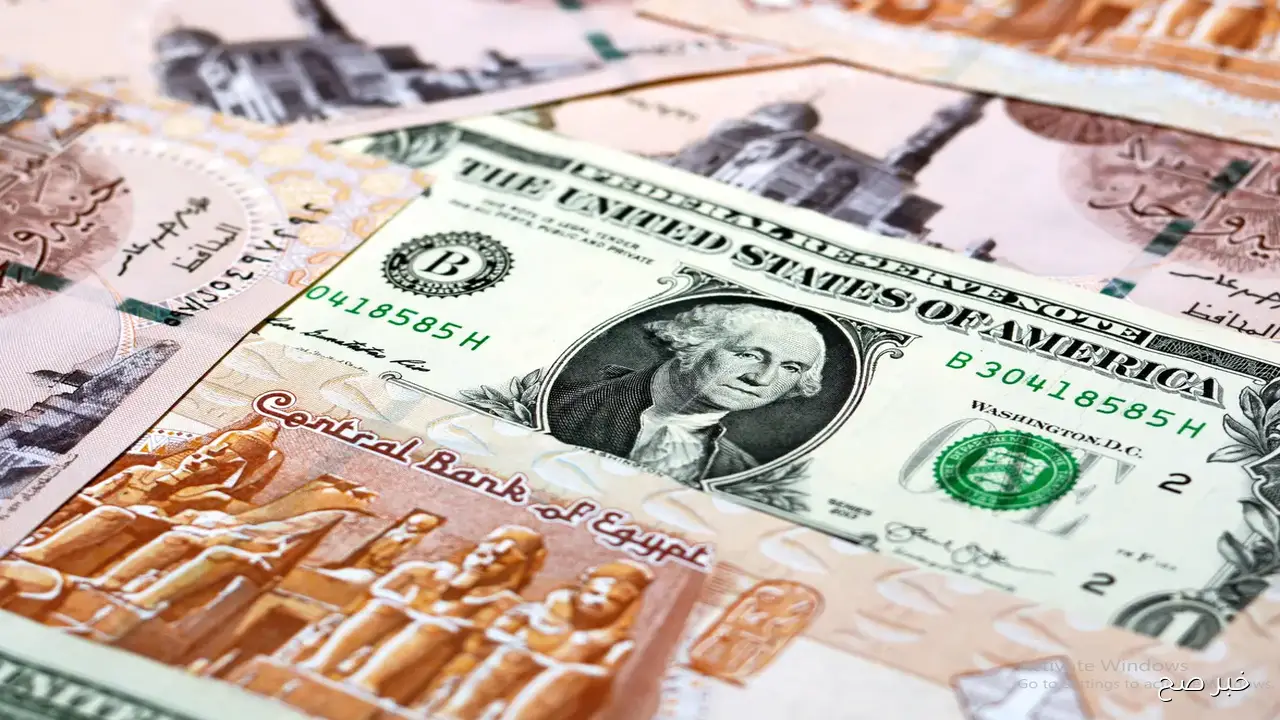 سعر الدولار مقابل الجنيه المصري اليوم الأربعاء 12 نوفمبر 2025 في البنوك المحلية والسوق السوداء