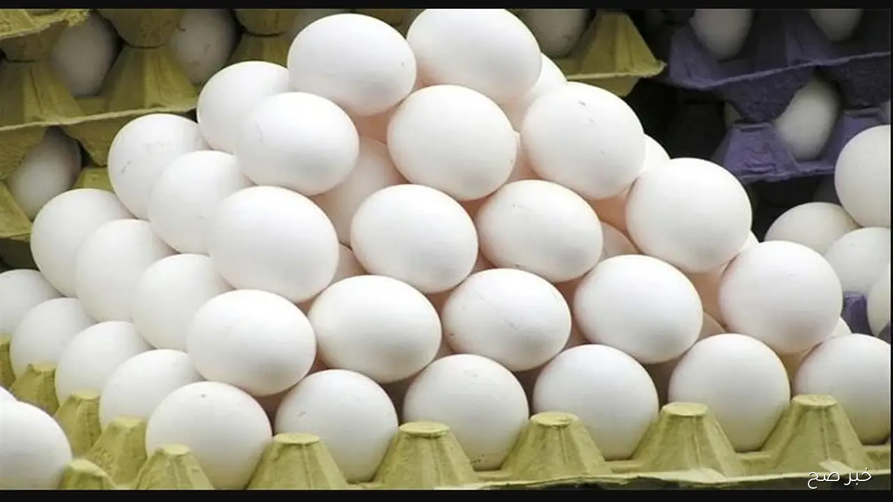 سعر كرتونة البيض اليوم للمستهلك تتراجع في الاسواق