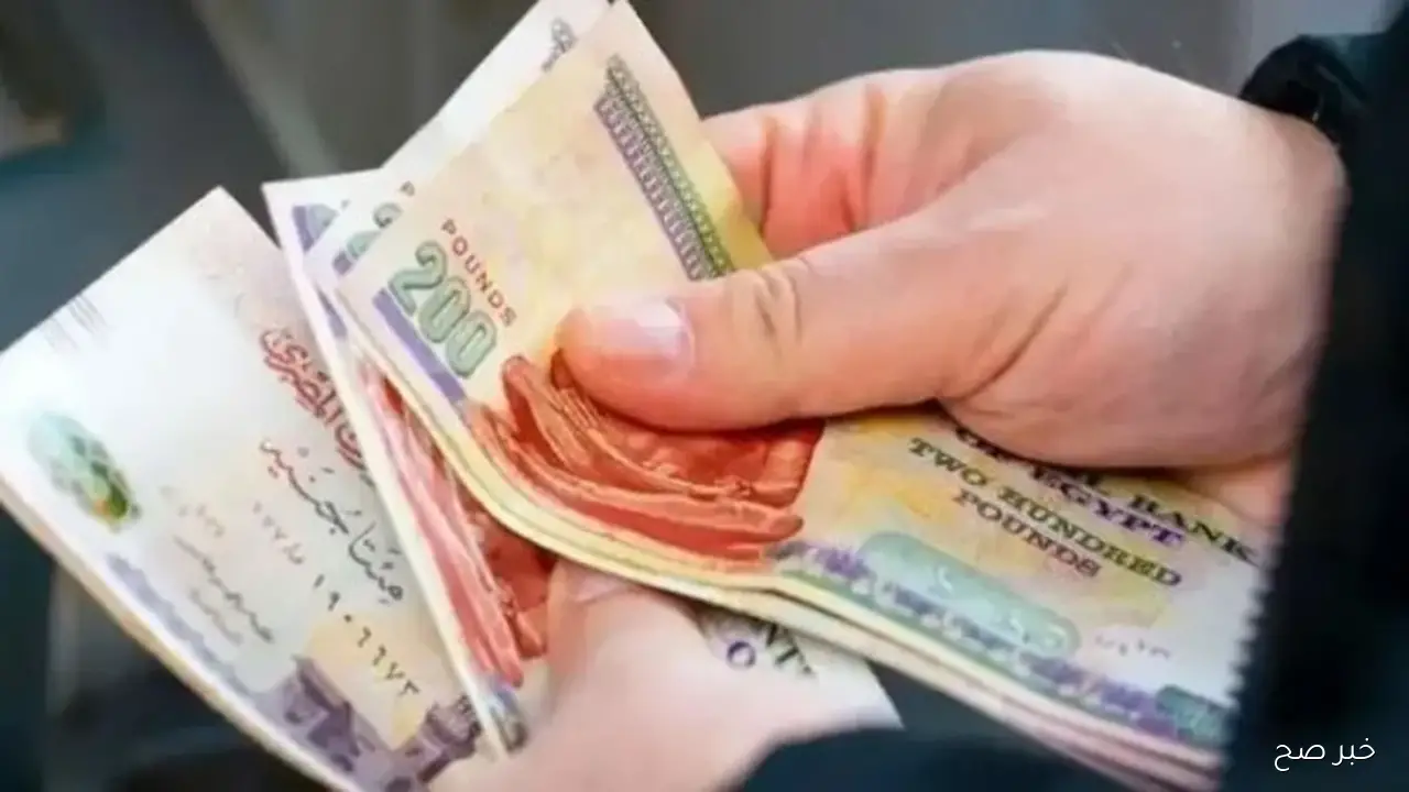 موعد صرف معاشات شهر ديسمبر 2025 وخطوات الاستعلام عبر الموقع nosi.gov.eg