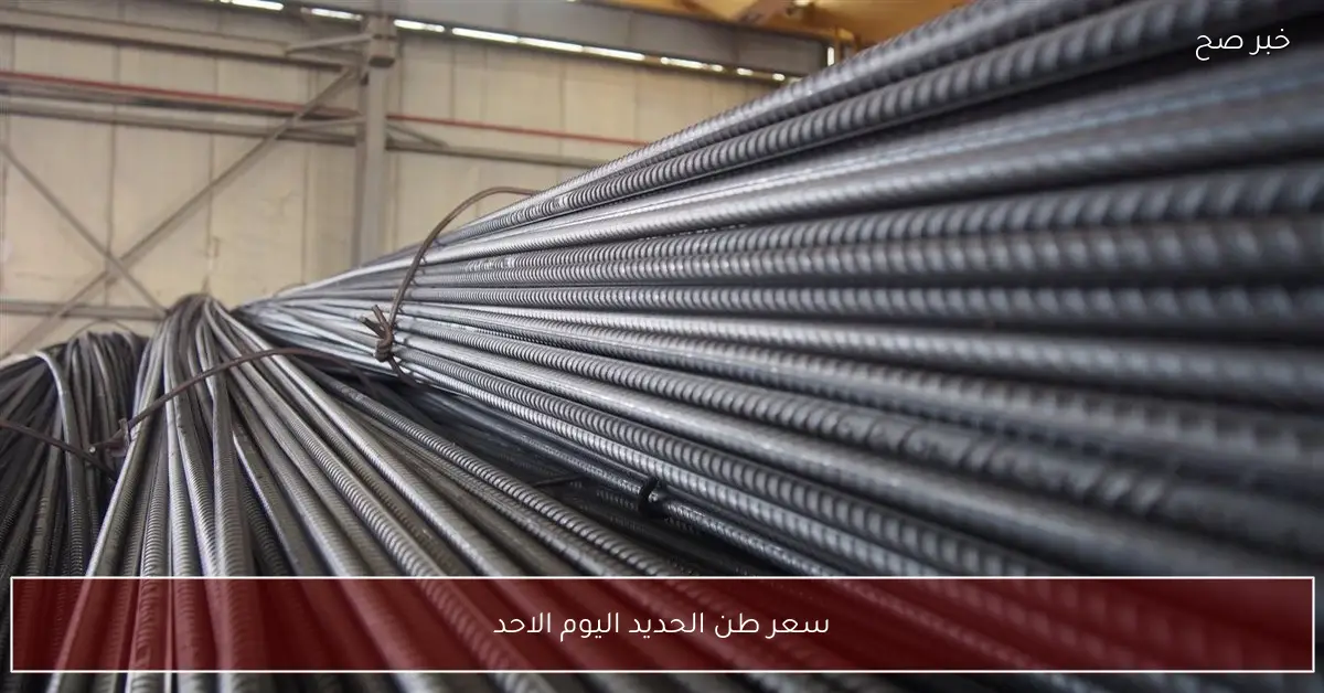 تراجع سعر طن الحديد اليوم الاحد 7-12-2025 بالمصانع والشركات
