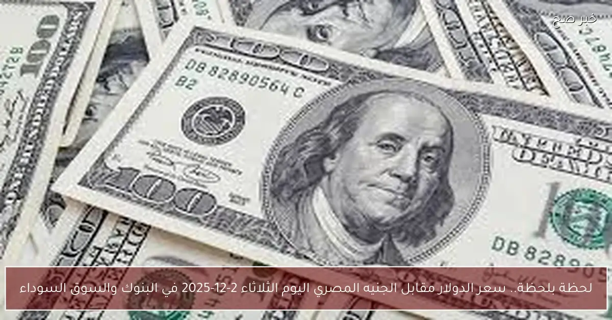 لحظة بلحظة.. سعر الدولار مقابل الجنيه المصري اليوم الثلاثاء 2-12-2025 في البنوك والسوق السوداء