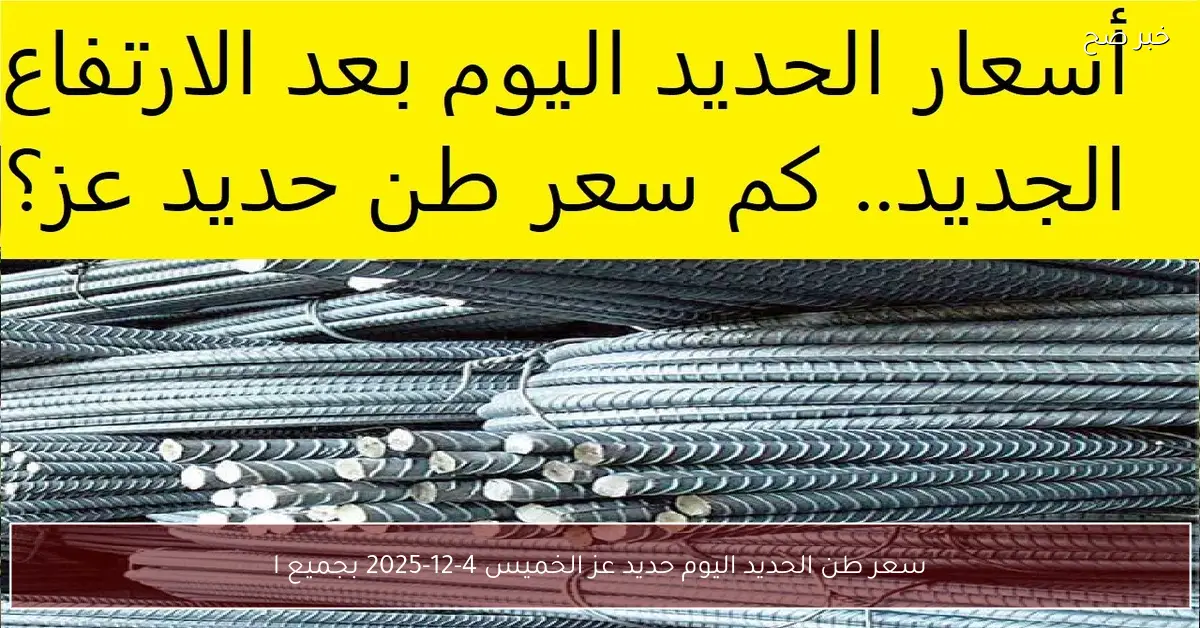 هبوط مفاجئ.. سعر طن الحديد اليوم حديد عز الخميس 4-12-2025 بجميع الشركات والمصانع