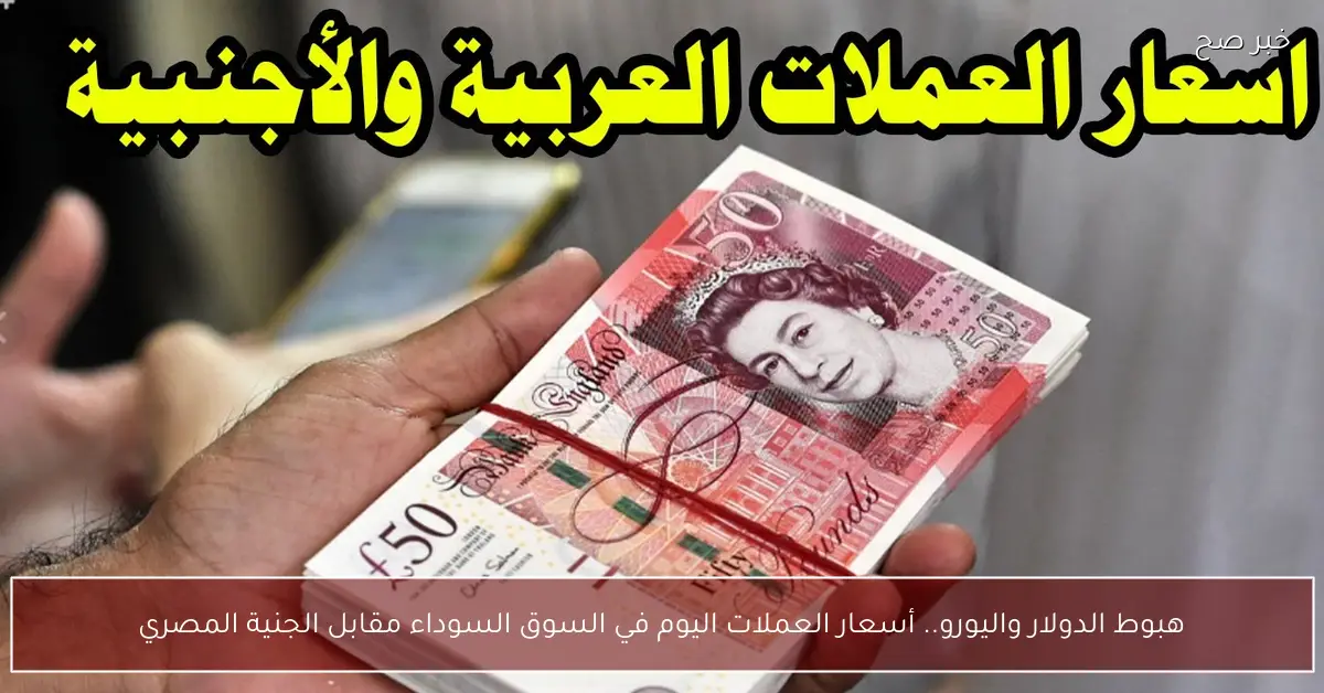 هبوط الدولار واليورو.. أسعار العملات اليوم في السوق السوداء مقابل الجنية المصري