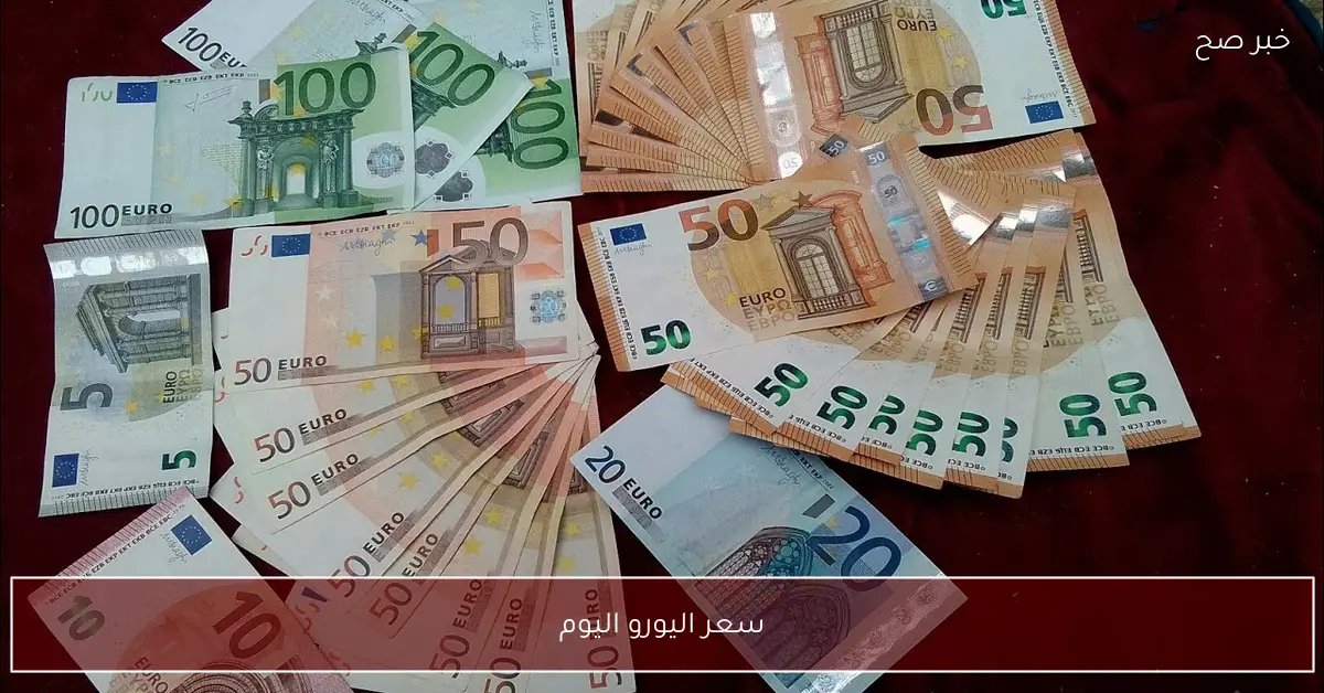 “تراجع الأوروبي”.. سعر اليورو اليوم في السوق السوداء مقابل الجنية المصري