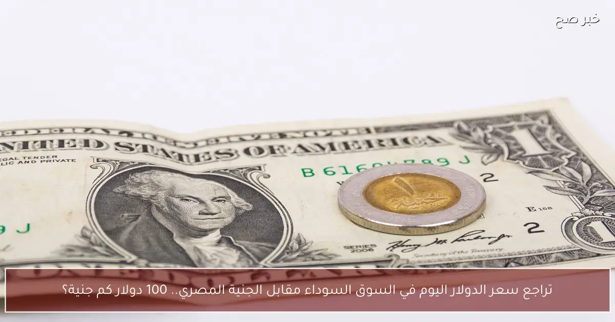 تراجع سعر الدولار اليوم في السوق السوداء مقابل الجنية المصري.. 100 دولار كم جنية؟