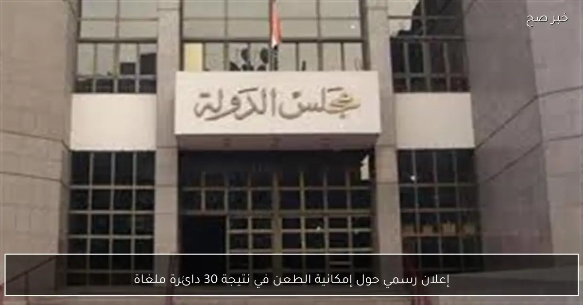 إعلان رسمي حول إمكانية الطعن في نتيجة 30 دائرة ملغاة