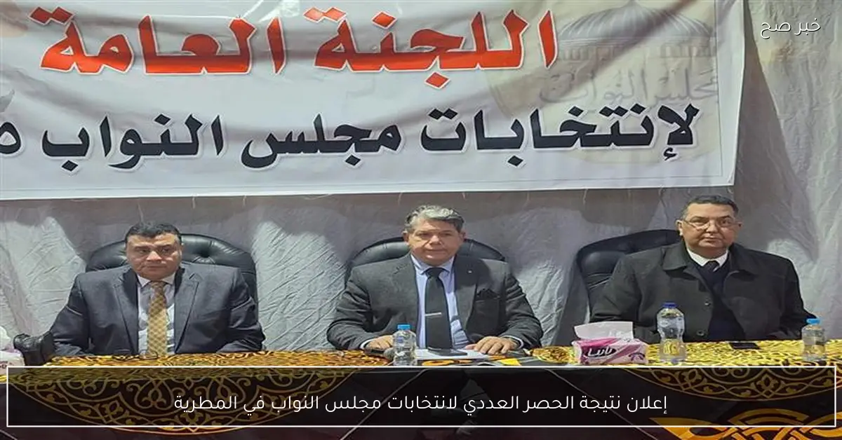 إعلان نتيجة الحصر العددي لانتخابات مجلس النواب في المطرية