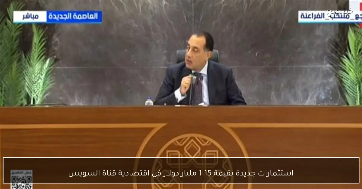 استثمارات جديدة بقيمة 1.15 مليار دولار في اقتصادية قناة السويس