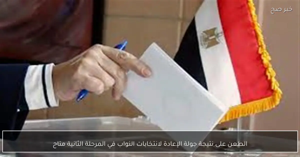 الطعن على نتيجة جولة الإعادة لانتخابات النواب في المرحلة الثانية متاح