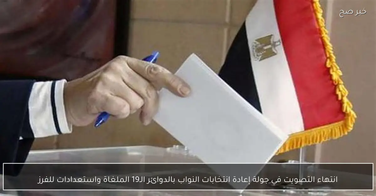 انتهاء التصويت في جولة إعادة انتخابات النواب بالدوائر الـ19 الملغاة واستعدادات للفرز