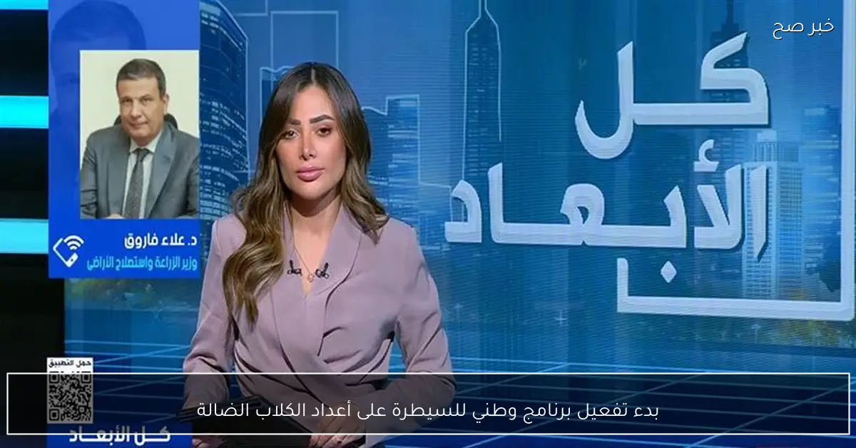 بدء تفعيل برنامج وطني للسيطرة على أعداد الكلاب الضالة