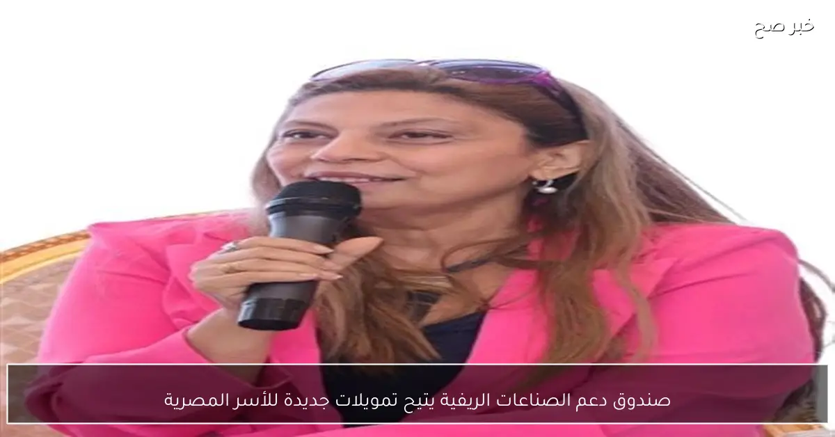 صندوق دعم الصناعات الريفية يتيح تمويلات جديدة للأسر المصرية