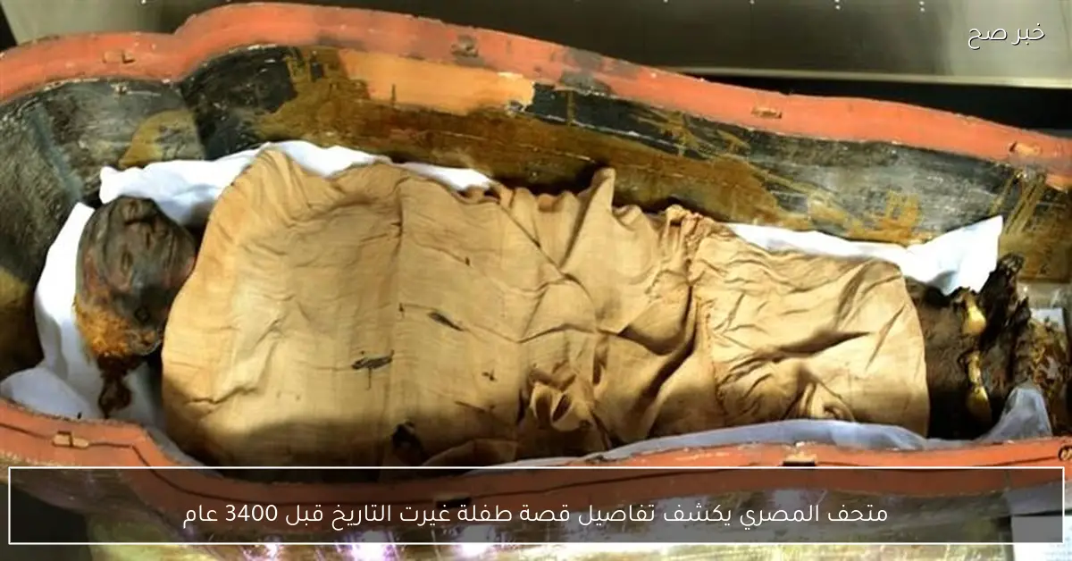 متحف المصري يكشف تفاصيل قصة طفلة غيرت التاريخ قبل 3400 عام