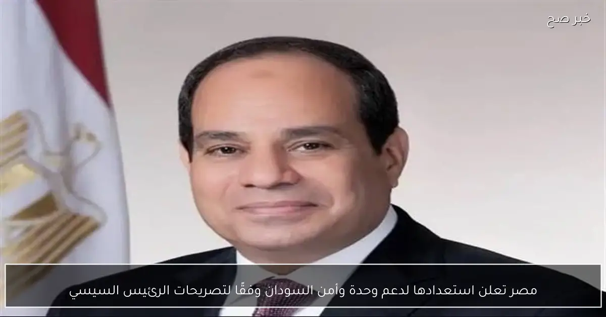 مصر تعلن استعدادها لدعم وحدة وأمن السودان وفقًا لتصريحات الرئيس السيسي