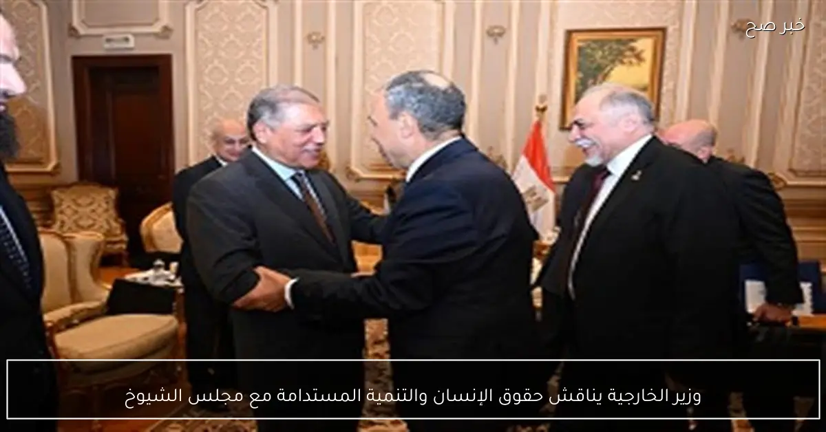 وزير الخارجية يناقش حقوق الإنسان والتنمية المستدامة مع مجلس الشيوخ