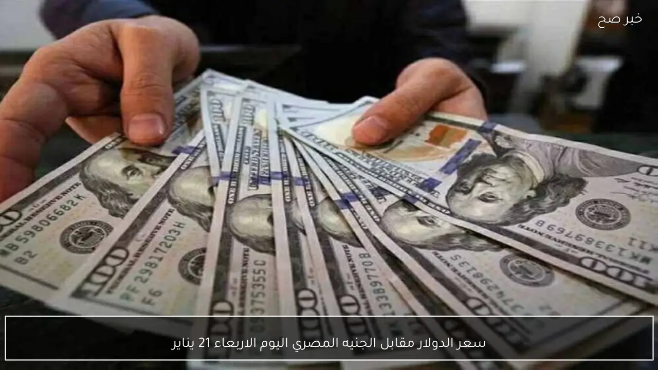 سعر الدولار مقابل الجنيه المصري اليوم الاربعاء 21 يناير 2026 في البنوك المصرية والسوق السوداء