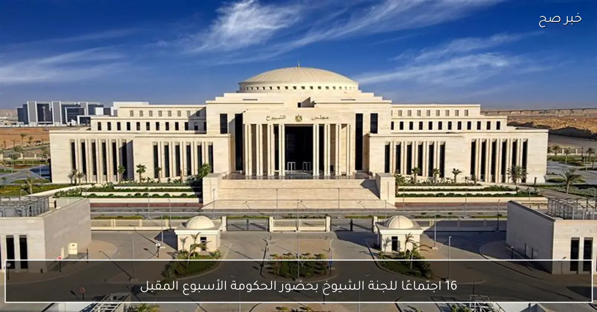 16 اجتماعًا للجنة الشيوخ بحضور الحكومة الأسبوع المقبل