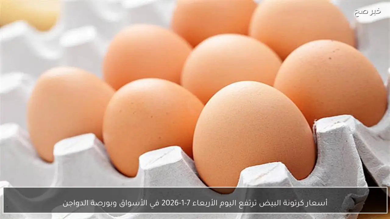 أسعار كرتونة البيض ترتفع اليوم الأربعاء 7-1-2026 في الأسواق وبورصة الدواجن