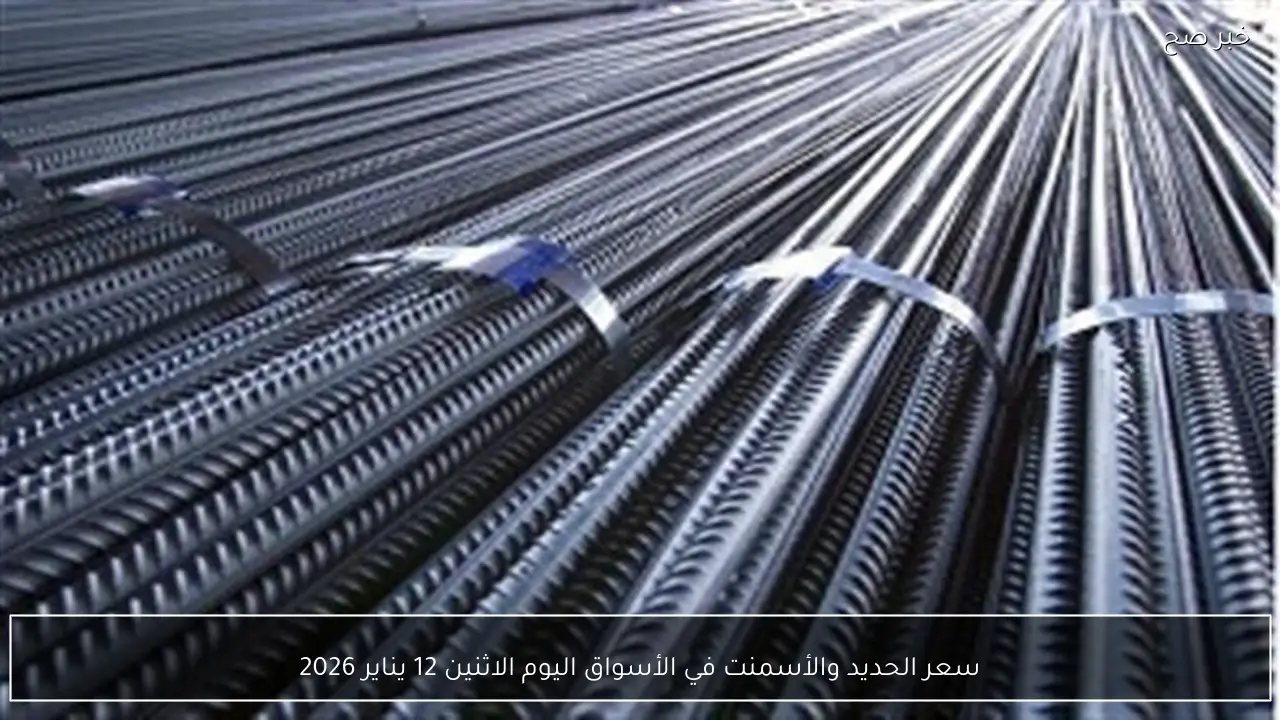 سعر الحديد والأسمنت في الأسواق اليوم الاثنين 12 يناير 2026