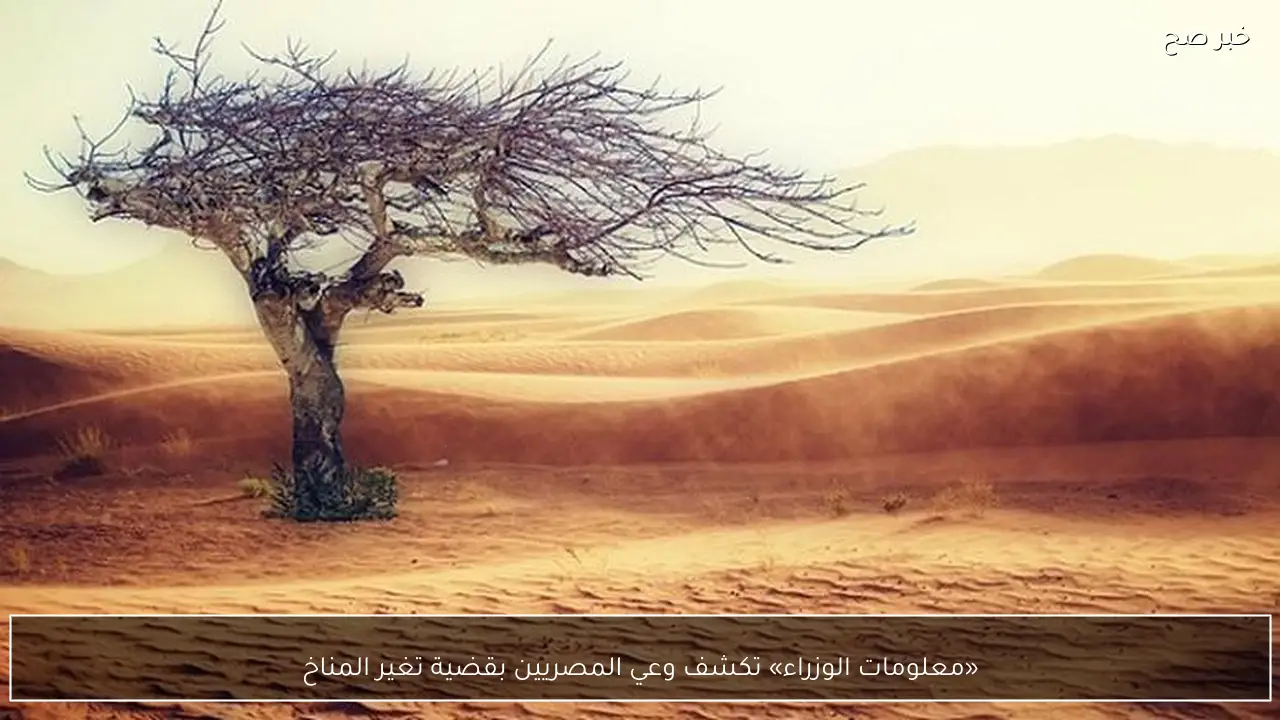 «معلومات الوزراء» تكشف وعي المصريين بقضية تغير المناخ