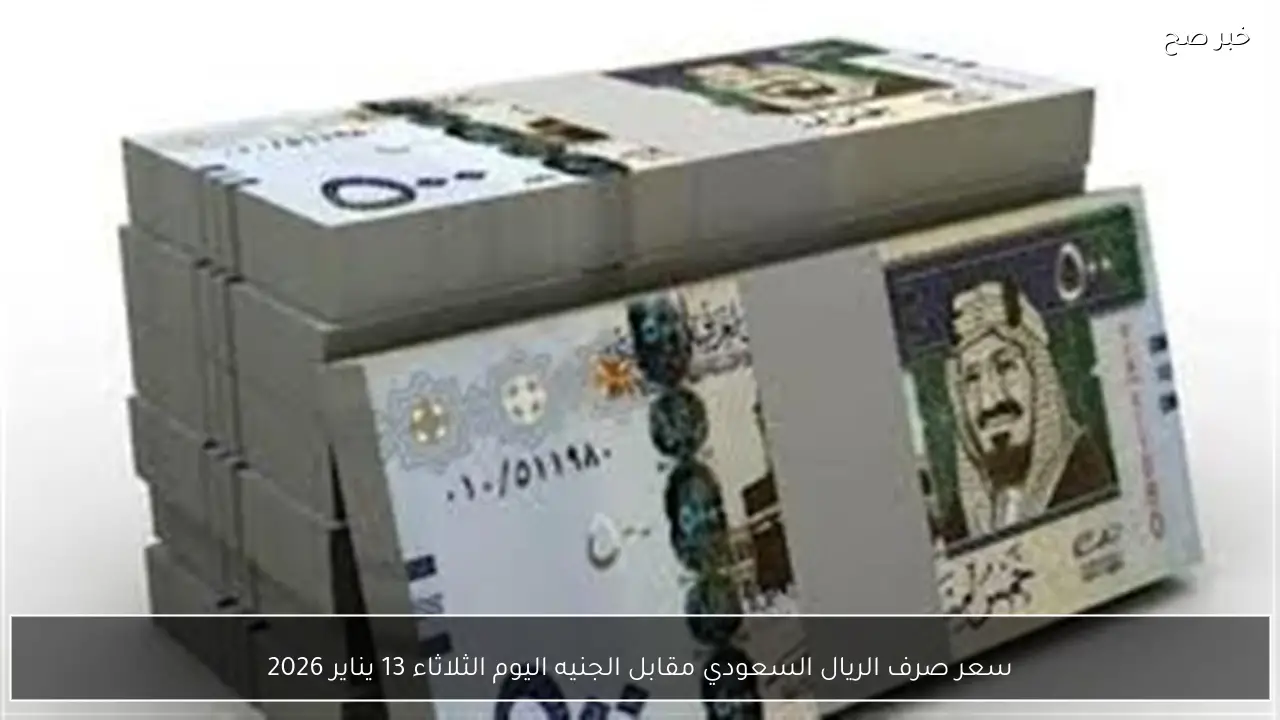 سعر صرف الريال السعودي مقابل الجنيه اليوم الثلاثاء 13 يناير 2026
