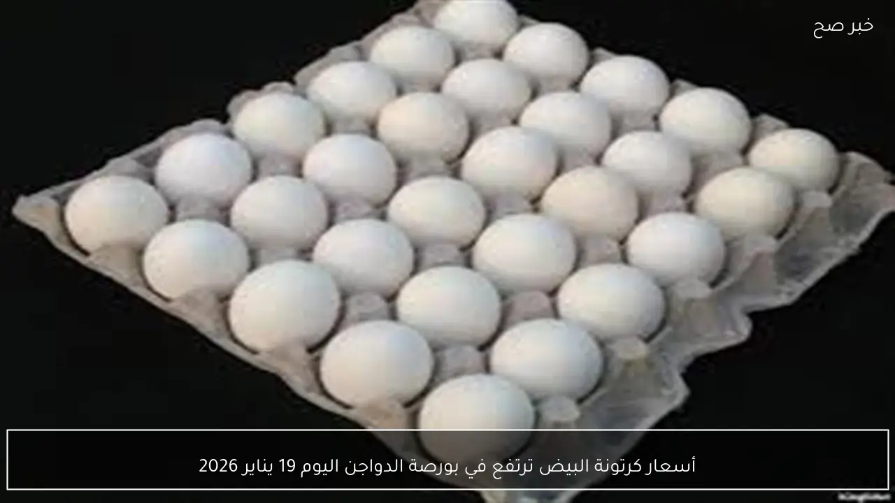 أسعار كرتونة البيض ترتفع في بورصة الدواجن اليوم 19 يناير 2026
