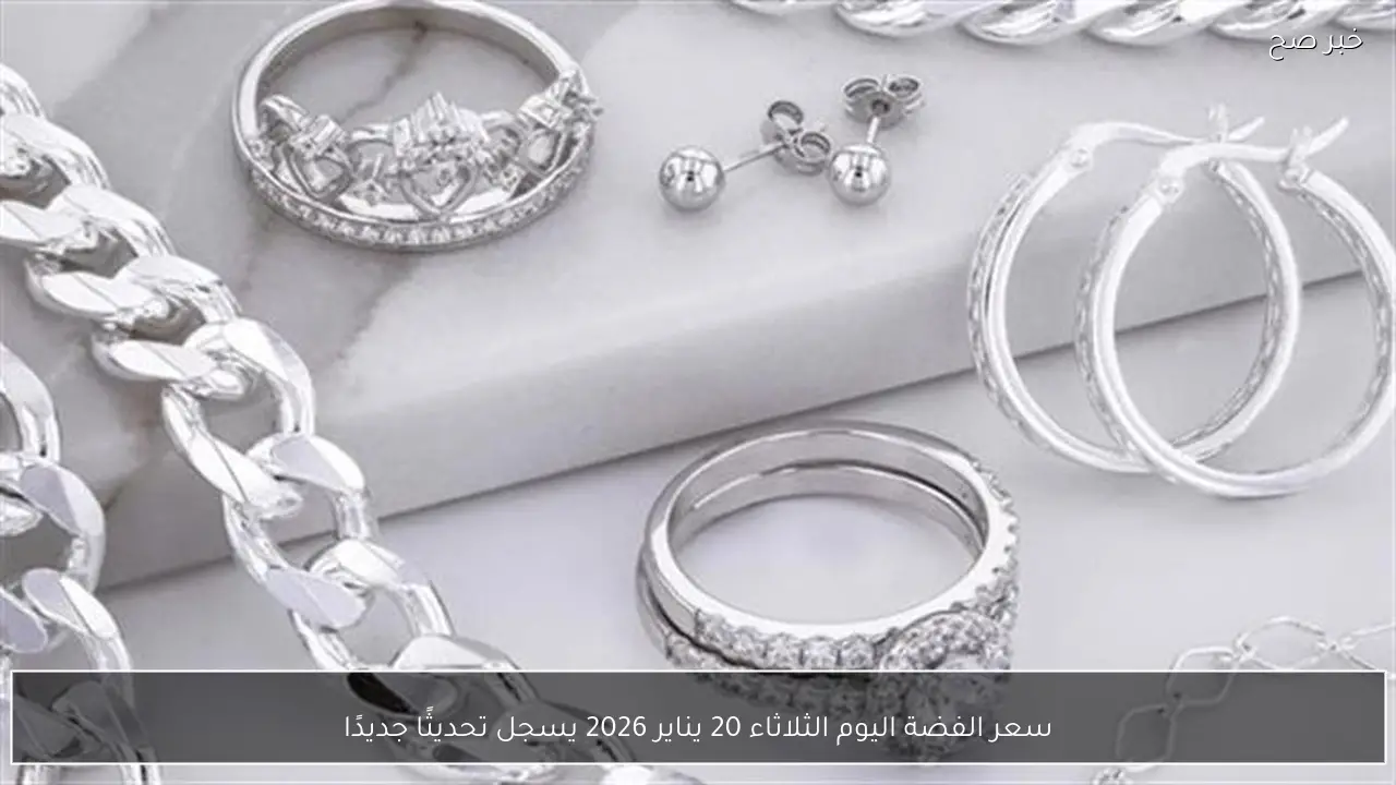 سعر الفضة اليوم الثلاثاء 20 يناير 2026 يسجل تحديثًا جديدًا
