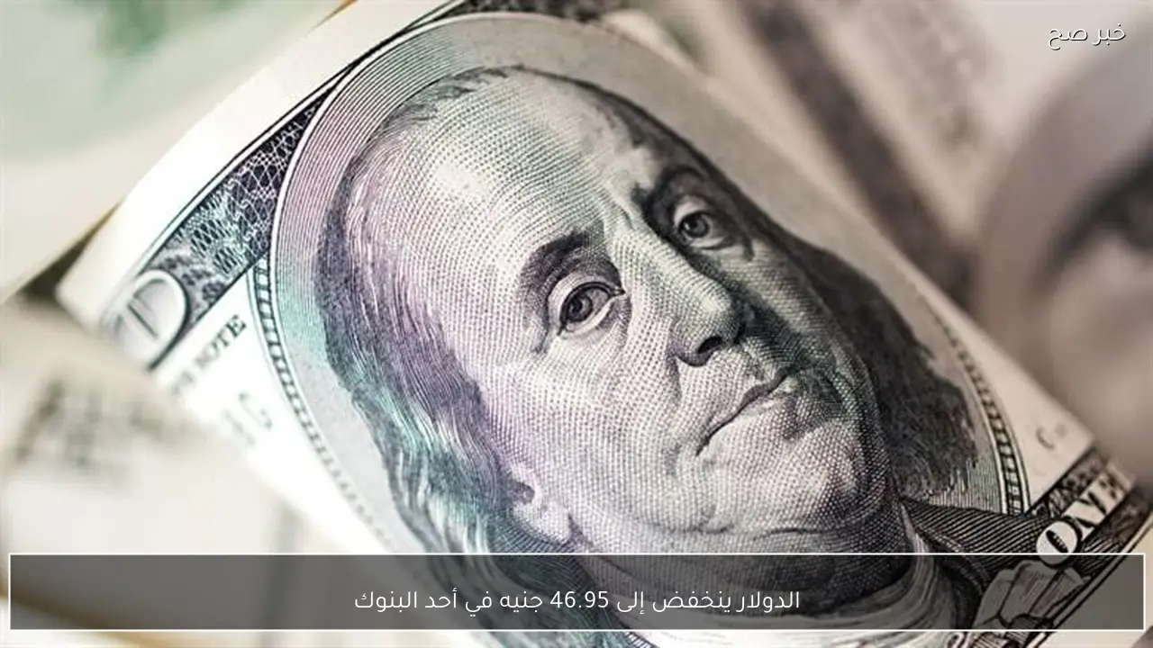 الدولار ينخفض إلى 46.95 جنيه في أحد البنوك