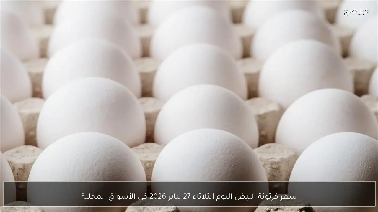 سعر كرتونة البيض اليوم الثلاثاء 27 يناير 2026 في الأسواق المحلية