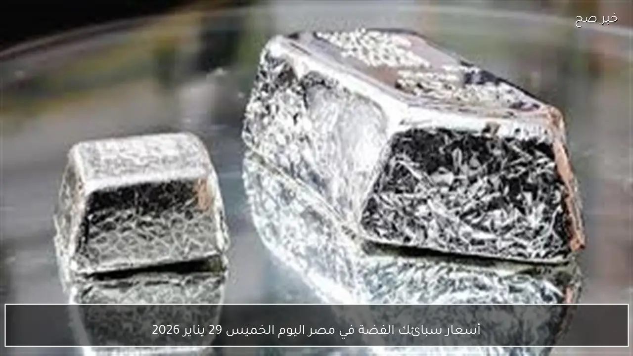 أسعار سبائك الفضة في مصر اليوم الخميس 29 يناير 2026