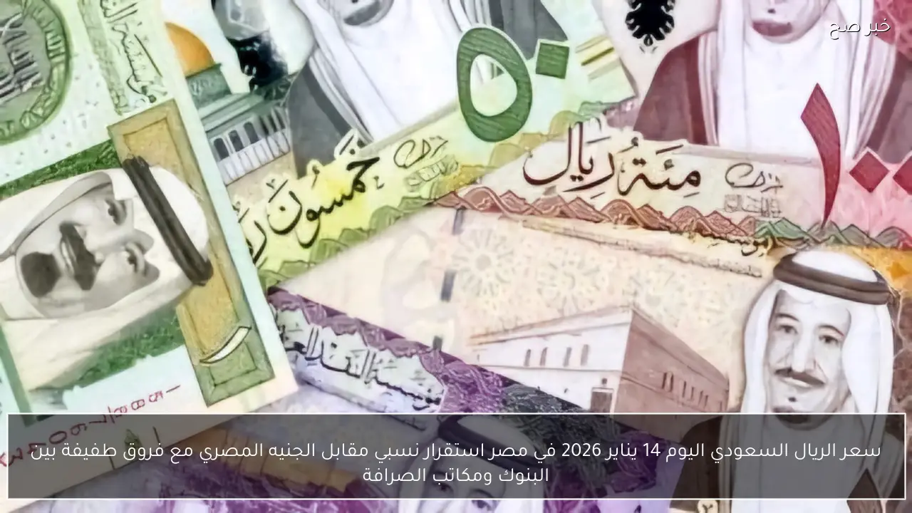 سعر الريال السعودي اليوم 14 يناير 2026 في مصر استقرار نسبي مقابل الجنيه المصري مع فروق طفيفة بين البنوك ومكاتب الصرافة