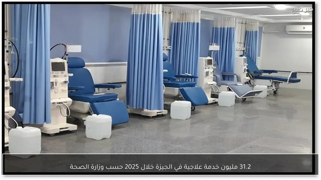 31.2 مليون خدمة علاجية في الجيزة خلال 2025 حسب وزارة الصحة