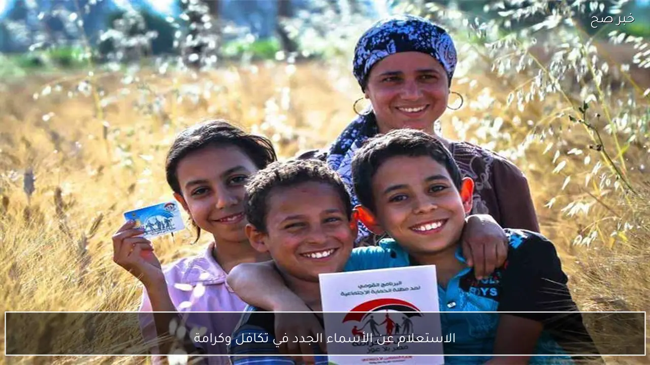 رابط الاستعلام عن الأسماء الجدد في تكافل وكرامة 2026 بالرقم القومي وشروط الاستحقاق