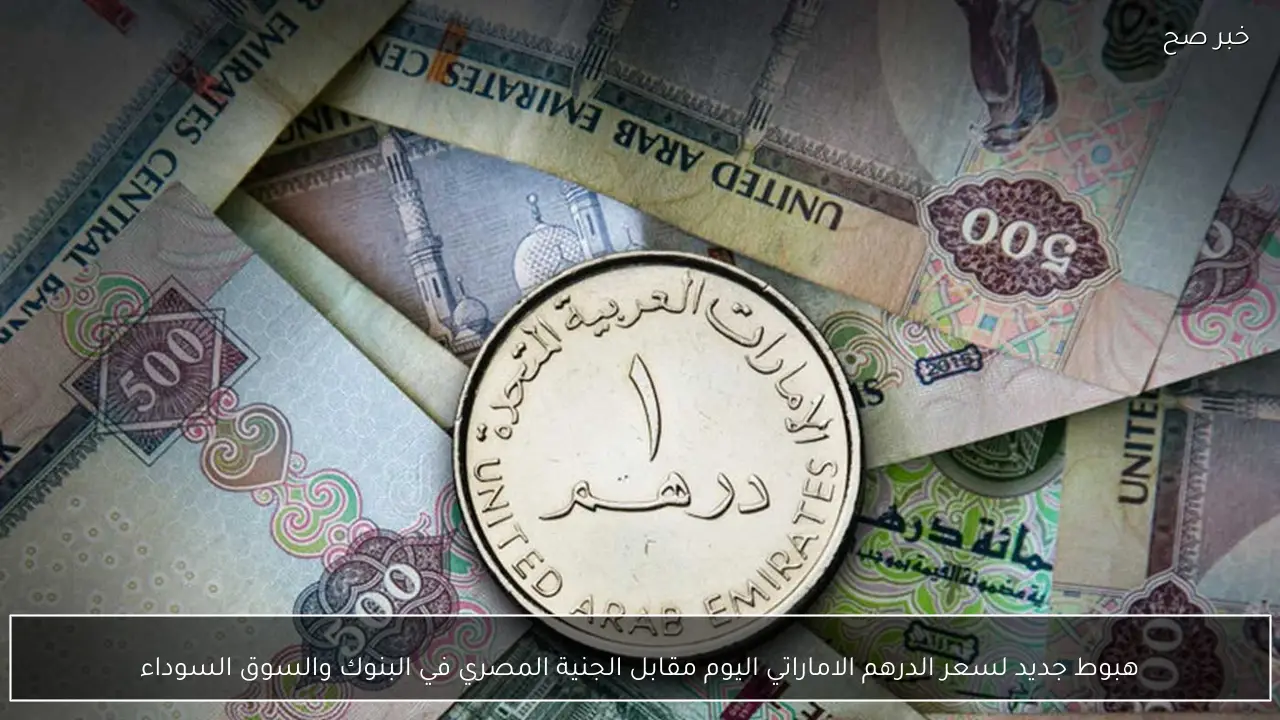 هبوط جديد لسعر الدرهم الاماراتي اليوم مقابل الجنية المصري في البنوك والسوق السوداء