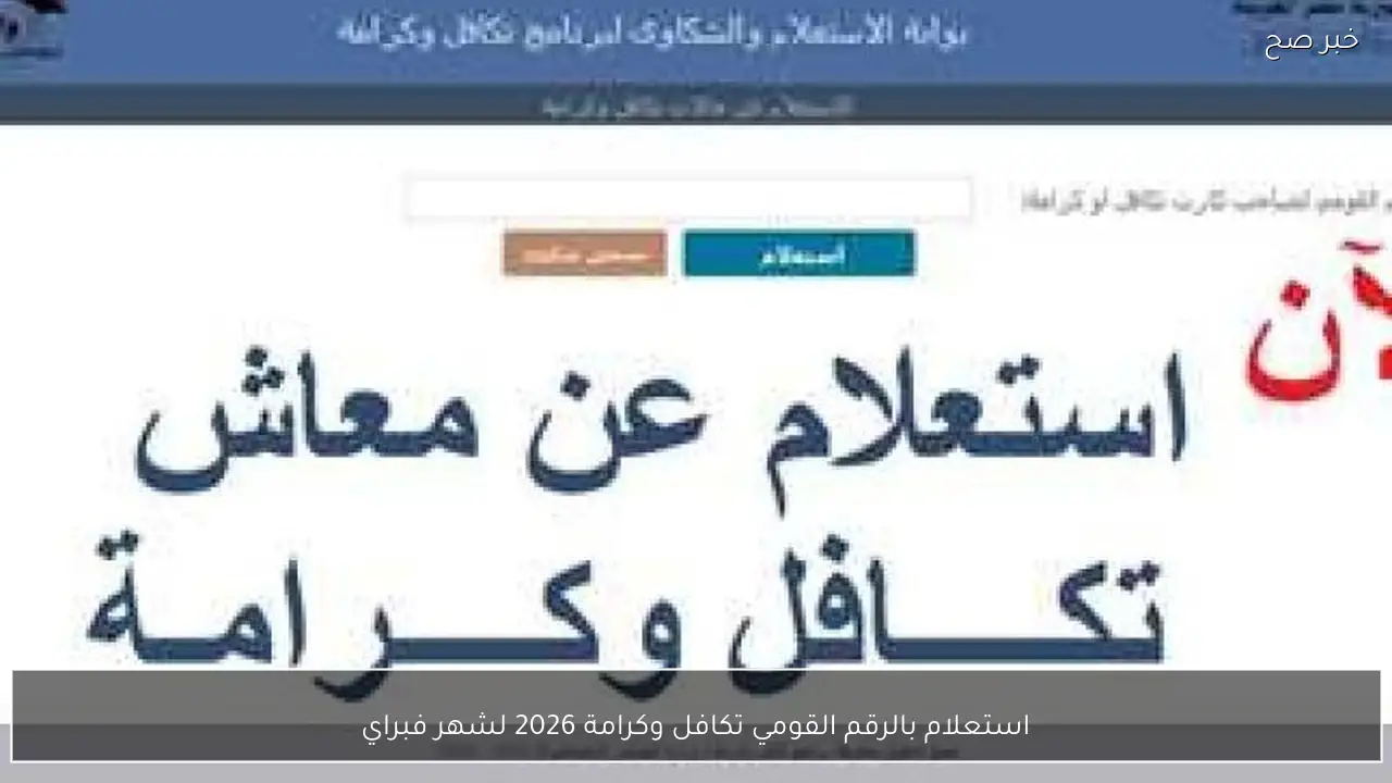 استعلام بالرقم القومي تكافل وكرامة 2026 لشهر فبراير عبر موقع وزارة التضامن وموعد الصرف الرسمي