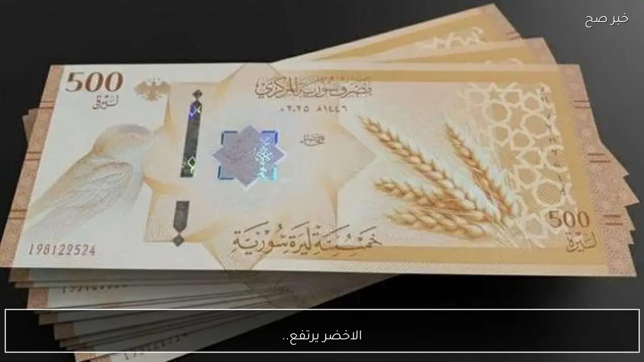 الاخضر يرتفع.. سعر الدولار مقابل الليرة السورية اليوم الثلاثاء 20 يناير 2026 بالمحافظات السورية