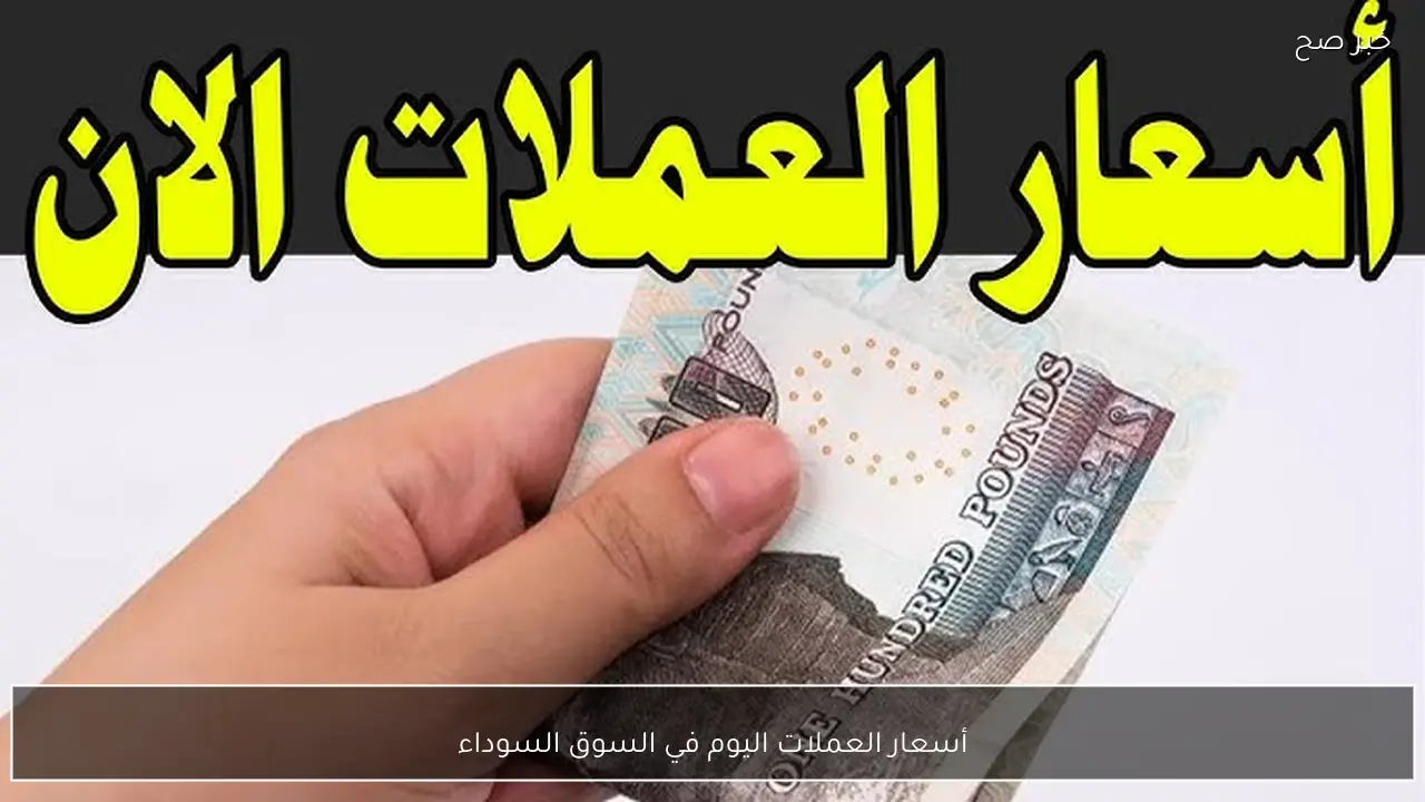 “بين ارتفاع وانخفاض”.. أسعار العملات اليوم في السوق السوداء مقابل الجنية المصري