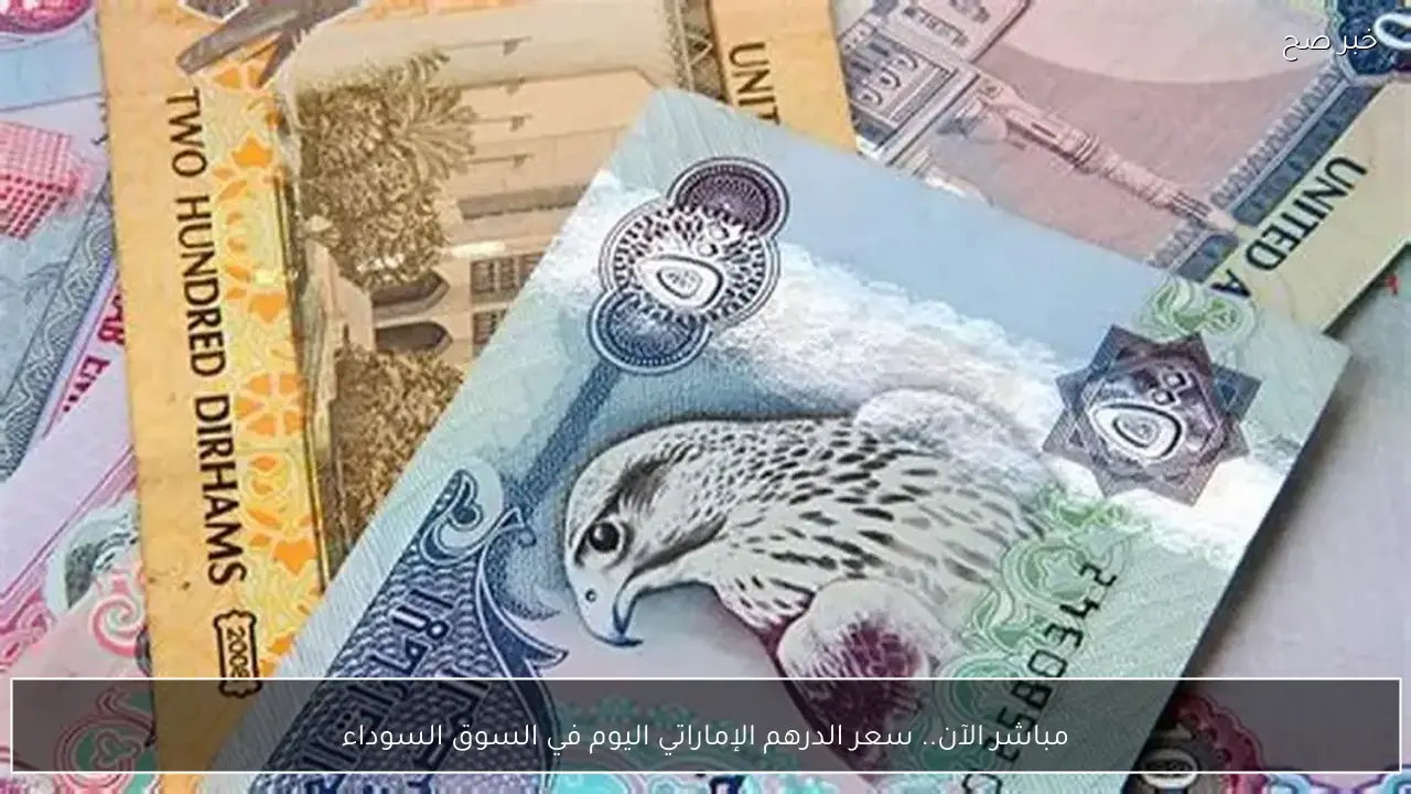 مباشر الآن.. سعر الدرهم الإماراتي اليوم في السوق السوداء الثلاثاء 27-1-2026 مقابل الجنيه المصري بيع وشراء