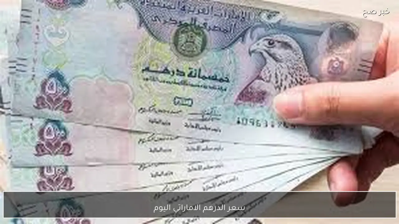 تحديث مباشر الآن.. سعر الدرهم الاماراتي اليوم الاربعاء 21-1-2026 مقابل الجنيه المصري بمنتصف التعاملات