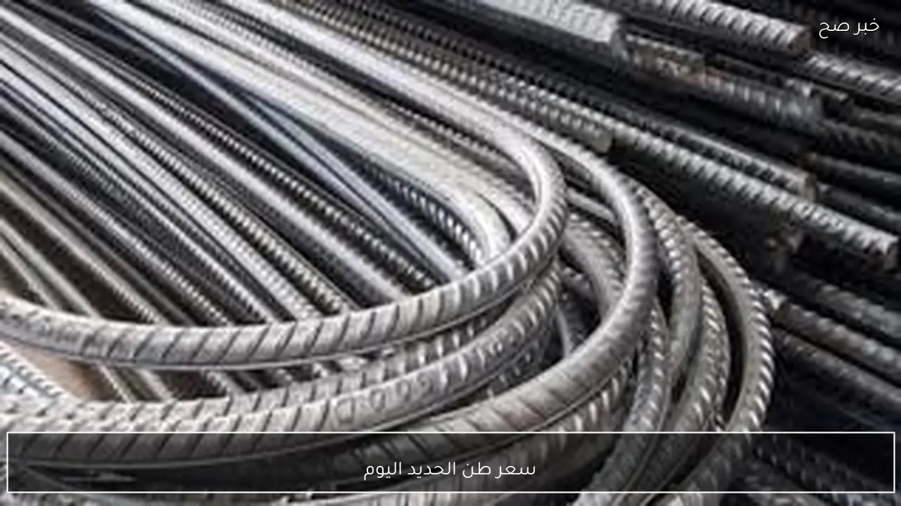 مباشر الآن.. سعر طن الحديد اليوم الاربعاء 21-1-2026 في المصانع والشركات بختام التعاملات المسائية