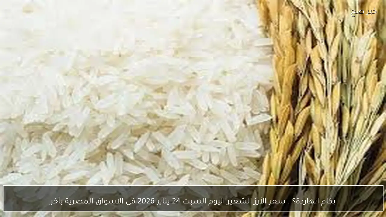 بكام انهاردة؟.. سعر الأرز الشعير اليوم السبت 24 يناير 2026 في الاسواق المصرية