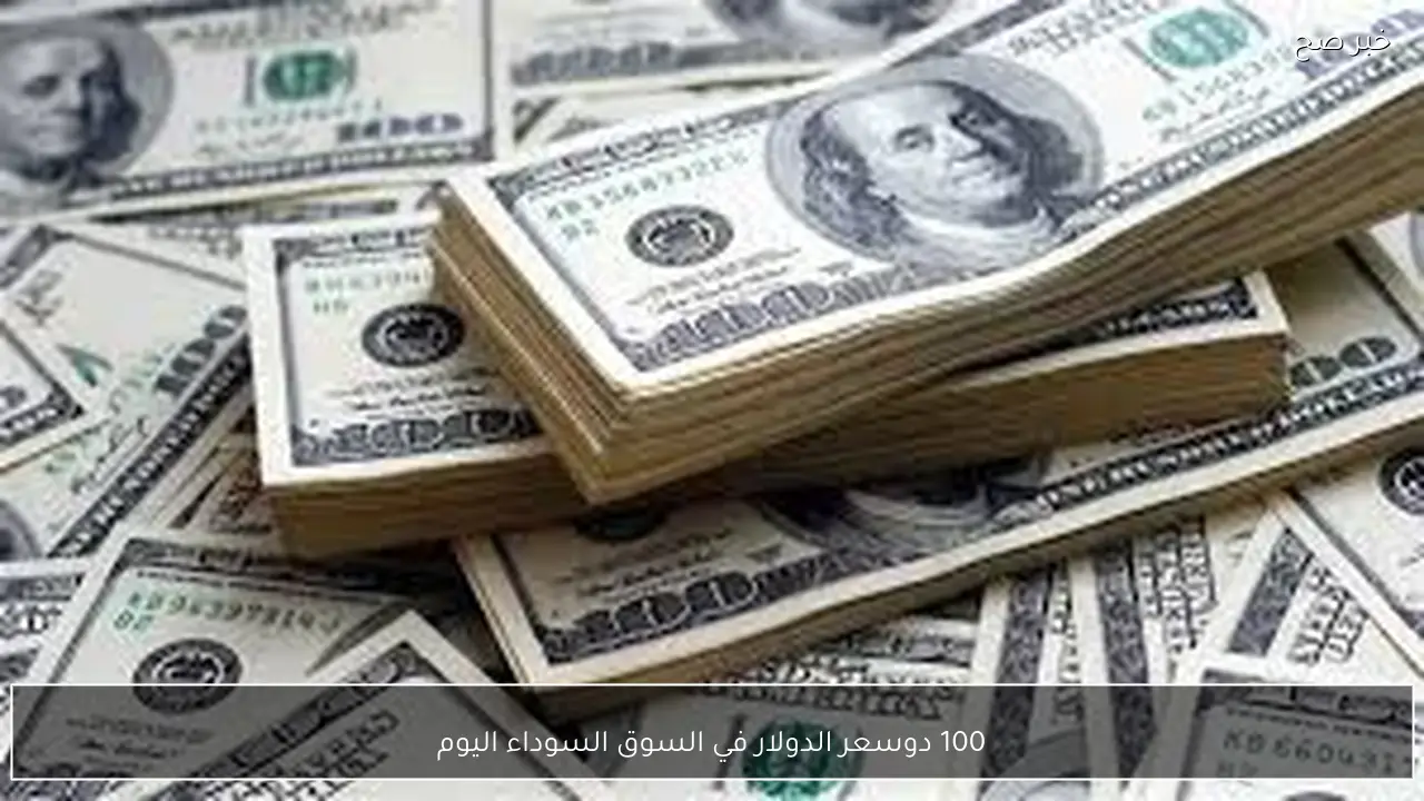 100 دولار بكام؟.. سعر الدولار في السوق السوداء اليوم السبت 24-1-2026 مقابل الجنيه المصري