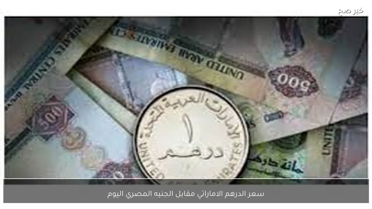 تحديث لحظي.. سعر الدرهم الاماراتي مقابل الجنيه المصري اليوم في السوق السوداء والبنوك المصرية