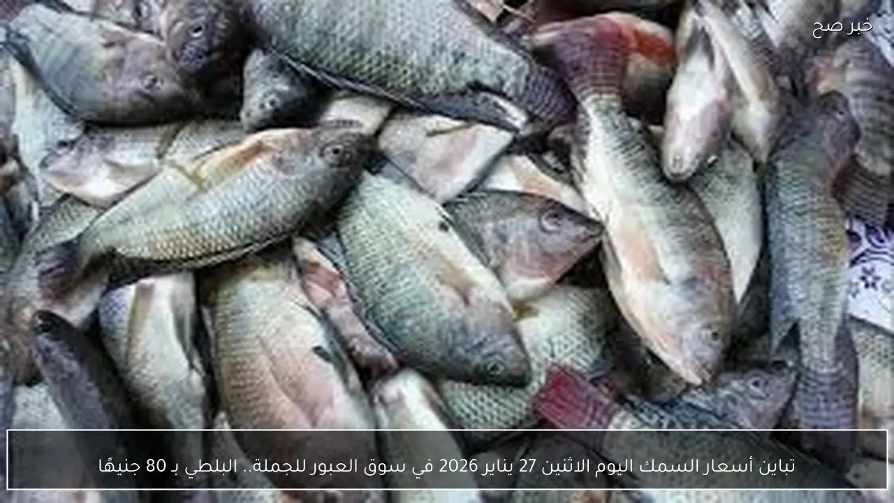 تباين أسعار السمك اليوم الاثنين 27 يناير 2026 في سوق العبور للجملة.. البلطي بـ 80 جنيهًا