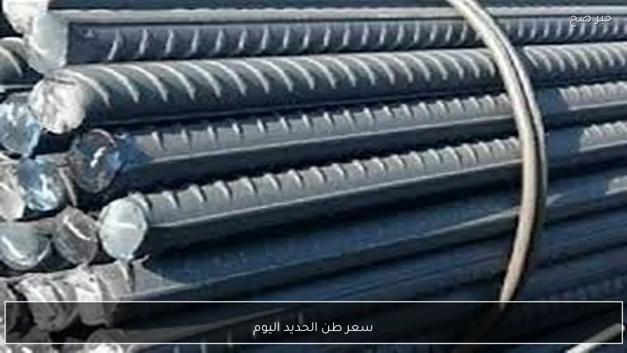 تحديث صباحي.. سعر طن الحديد اليوم السبت 31 يناير 2026 بالمصانع والشركات الكبري