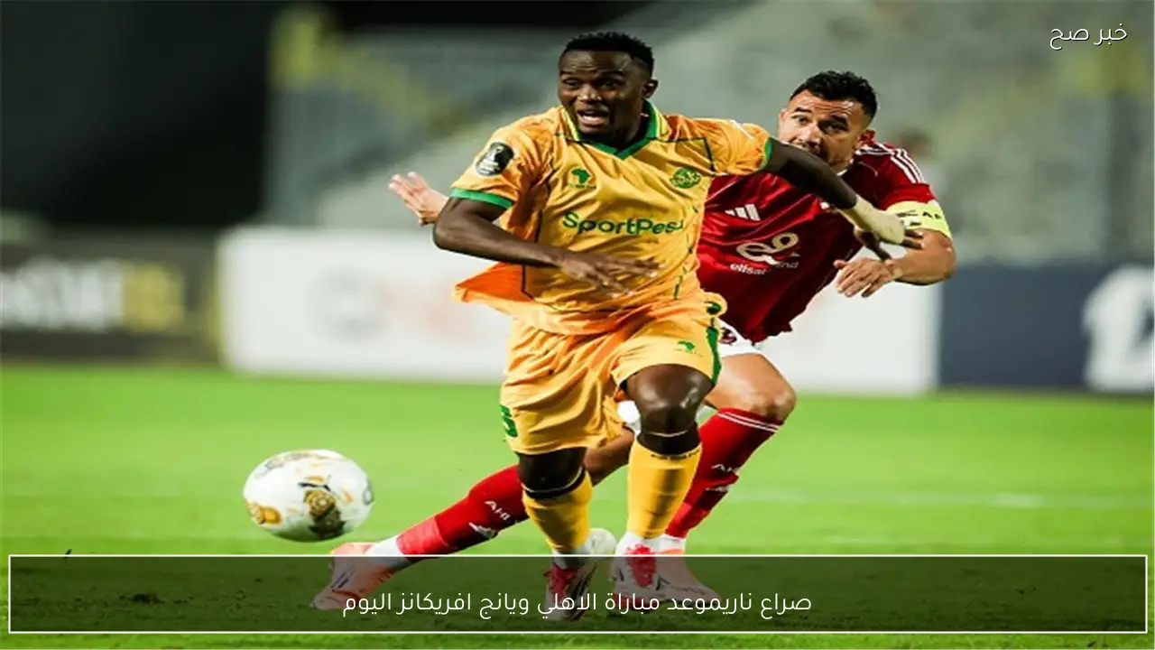 صراع ناري.. موعد مباراة الاهلي ويانج افريكانز اليوم في دوري ابطال افريقيا 2026