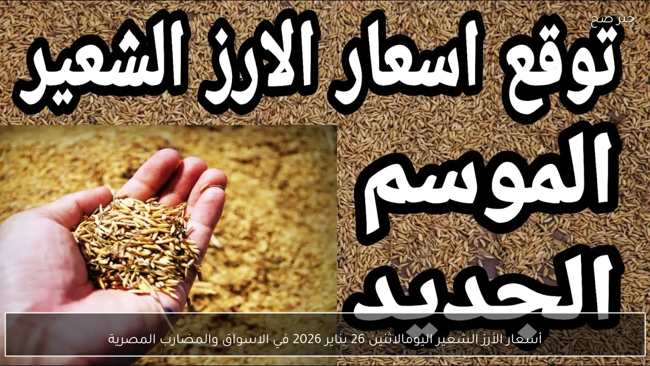 أسعار الأرز الشعير اليوم الاثنين 26 يناير 2026 في الاسواق والمضارب المصرية.. الطن بكام؟