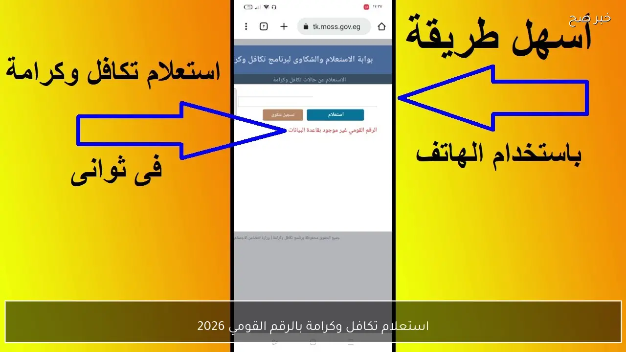 “مُتاح الآن”.. رابط استعلام تكافل وكرامة بالرقم القومي 2026 واهم شروط استحقاق الدعم